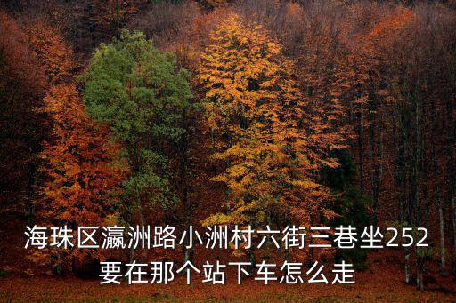 海珠區瀛洲路小洲村六街三巷坐252要在那個站下車怎么走