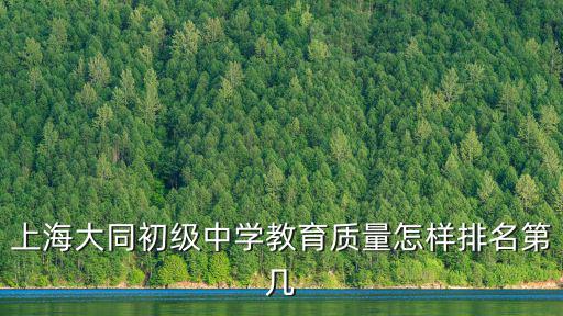 上海大同初級中學教育質(zhì)量怎樣排名第幾