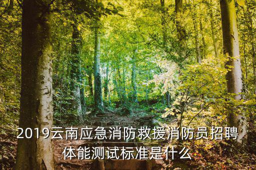 消防員招聘，當消防員要具備什么條件消防員的招聘途徑是什么