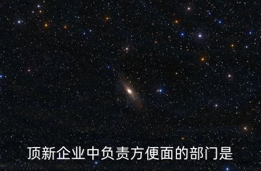 頂新企業中負責方便面的部門是