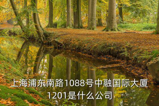 上海浦東南路1088號中融國際大廈1201是什么公司