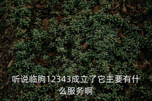 聽說臨朐12343成立了它主要有什么服務(wù)啊