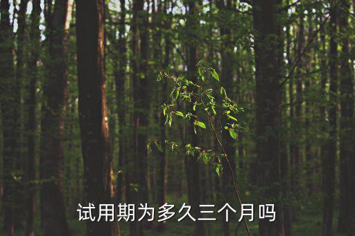 試用期為多久三個月嗎