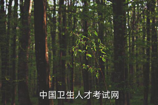 中國衛生人才考試網