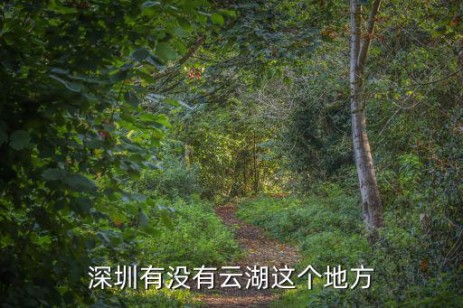 深圳有沒有云湖這個地方