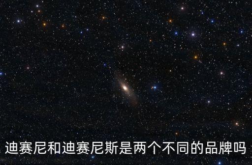迪賽尼和迪賽尼斯是兩個不同的品牌嗎
