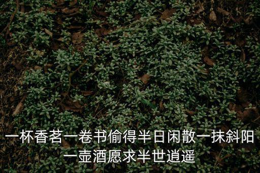 一杯香茗一卷書偷得半日閑散一抹斜陽一壺酒愿求半世逍遙