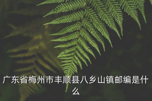 廣東省梅州市豐順縣八鄉(xiāng)山鎮(zhèn)郵編是什么