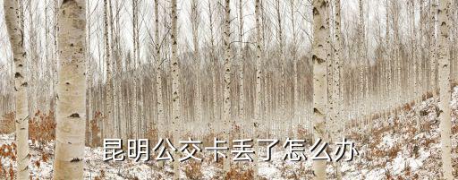 昆明公交卡丟了怎么辦