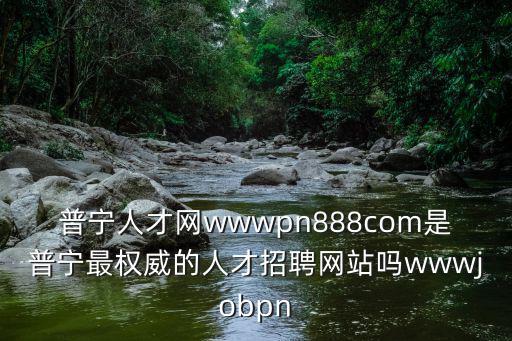 普寧人才網wwwpn888com是普寧最權威的人才招聘網站嗎wwwjobpn