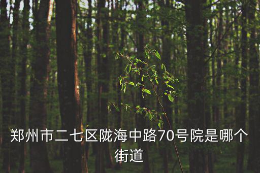 鄭州市二七區(qū)隴海中路70號(hào)院是哪個(gè)街道