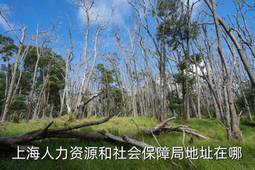 上海市人社局，一 上海有幾個社保局