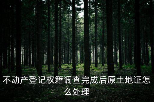 不動(dòng)產(chǎn)登記權(quán)籍調(diào)查完成后原土地證怎么處理