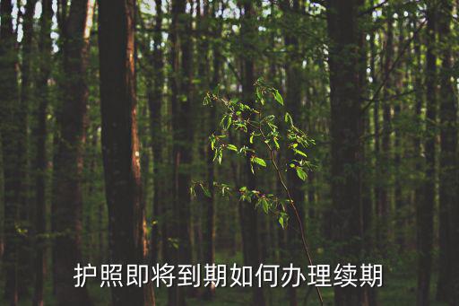 護(hù)照即將到期如何辦理續(xù)期