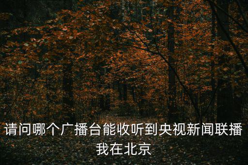 請問哪個廣播臺能收聽到央視新聞聯播我在北京