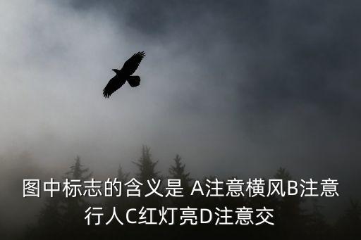 圖中標志的含義是 A注意橫風B注意行人C紅燈亮D注意交