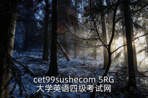 cet99sushecom 5RG大學(xué)英語四級考試網(wǎng)