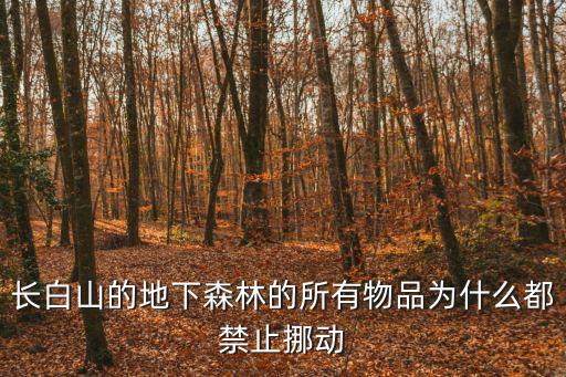 長白山地下森林，長白山又稱地下森林和火口森林的地方