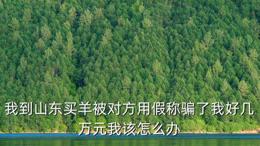 我到山東買(mǎi)羊被對(duì)方用假稱(chēng)騙了我好幾萬(wàn)元我該怎么辦