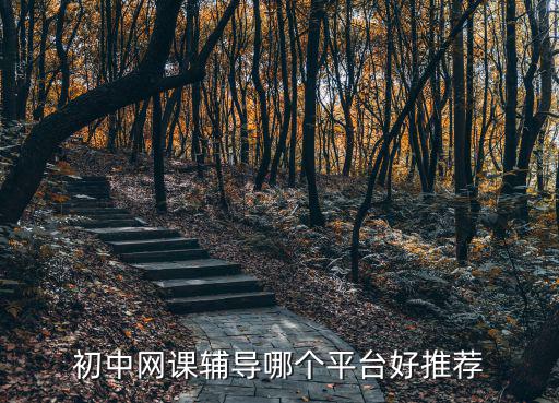 初中網課輔導哪個平臺好推薦