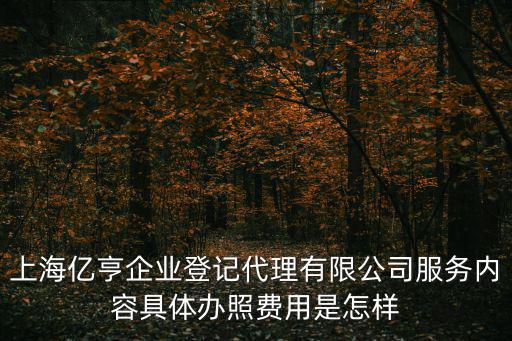 上海登元，上海億亨企業(yè)登記代理有限公司服務(wù)內(nèi)容具體辦照費(fèi)用是怎樣