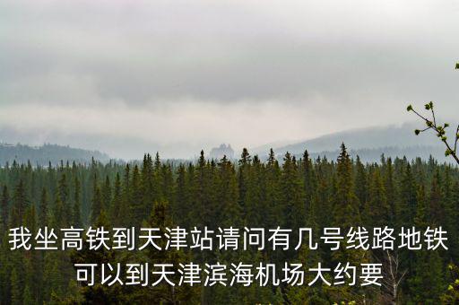 我坐高鐵到天津站請問有幾號線路地鐵可以到天津濱海機場大約要