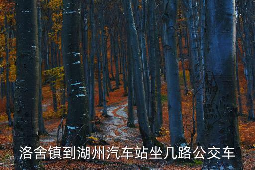 洛舍鎮，洛舍鎮到湖州汽車站坐幾路公交車