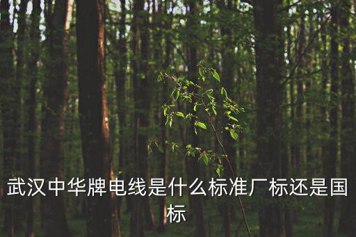 武漢中華牌電線是什么標準廠標還是國標