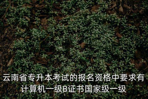 云南省專升本考試的報(bào)名資格中要求有計(jì)算機(jī)一級(jí)B證書國(guó)家級(jí)一級(jí)