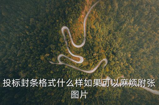 投標封條格式什么樣如果可以麻煩附張圖片