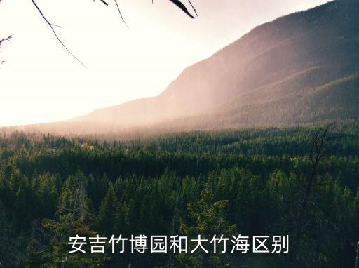 竹博園，安吉竹博園景點