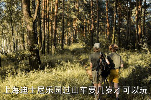 上海迪士尼樂園過山車要幾歲才可以玩
