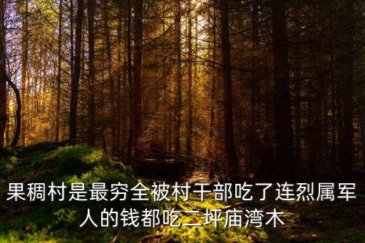 果稠村是最窮全被村干部吃了連烈屬軍人的錢都吃二坪廟灣木
