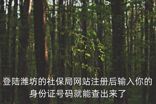 登陸濰坊的社保局網站注冊后輸入你的身份證號碼就能查出來了
