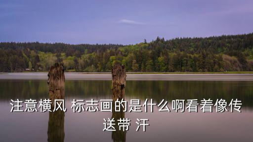 注意橫風 標志畫的是什么啊看著像傳送帶 汗