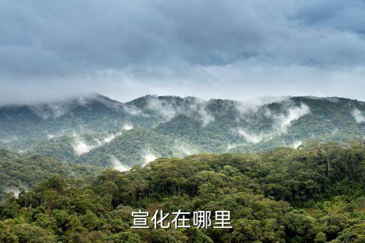 宣化在哪里