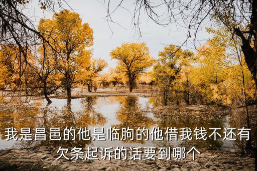 我是昌邑的他是臨朐的他借我錢不還有欠條起訴的話要到哪個