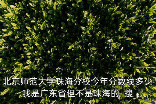 北京師范大學(xué)珠海分校今年分?jǐn)?shù)線多少我是廣東省但不是珠海的  搜