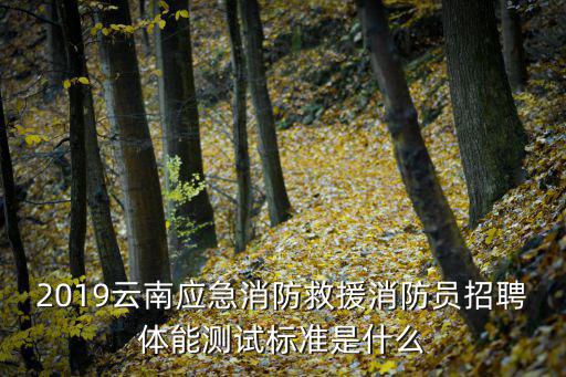2019云南應急消防救援消防員招聘體能測試標準是什么