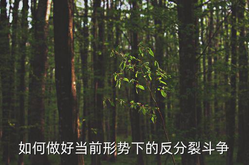 如何做好當前形勢下的反分裂斗爭