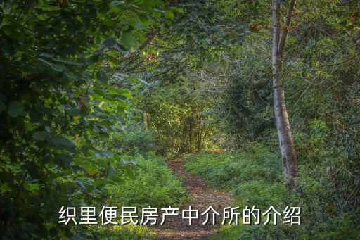 織里便民房產中介所的介紹