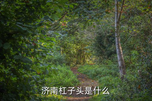濟南杠子頭是什么