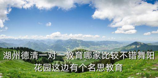 湖州德清一對一教育哪家比較不錯舞陽花園這邊有個(gè)名思教育