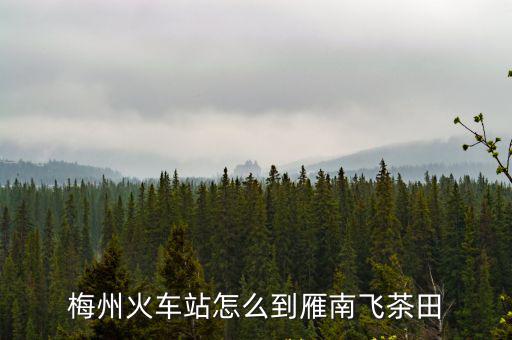 雁南飛茶田，梅州火車站怎么到雁南飛茶田