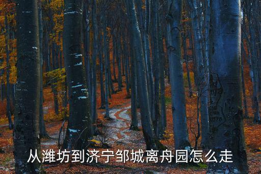 從濰坊到濟(jì)寧鄒城離舟園怎么走