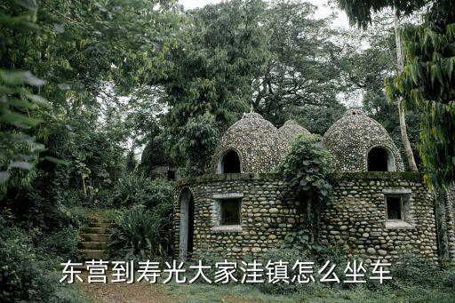 大家洼，東營到壽光大家洼鎮怎么坐車