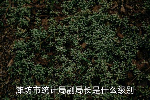 濰坊市統(tǒng)計(jì)局副局長(zhǎng)是什么級(jí)別