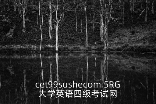 四六級(jí)考試網(wǎng)，英語(yǔ)四級(jí)考試