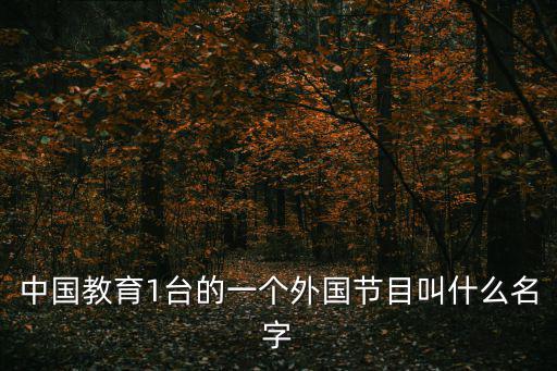 中國教育一臺直播，中國教育1臺的一個外國節目叫什么名字