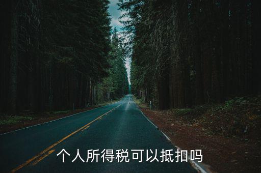 個稅抵扣，個人所得稅可以抵扣嗎